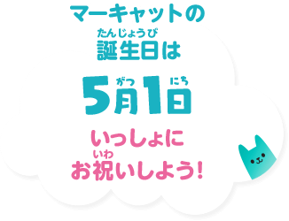 マーキャットの誕生日は5月1日 いっしょにお祝いしよう！